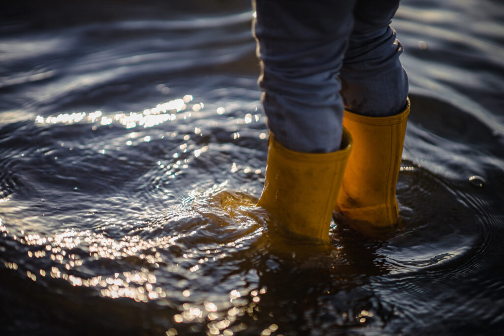 ​​Florida Real Estate in 2025: Climate & Insurance Costs