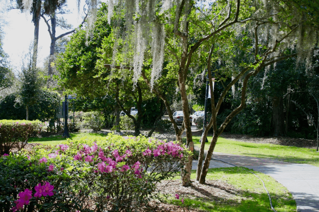 Mead Botanical Garden